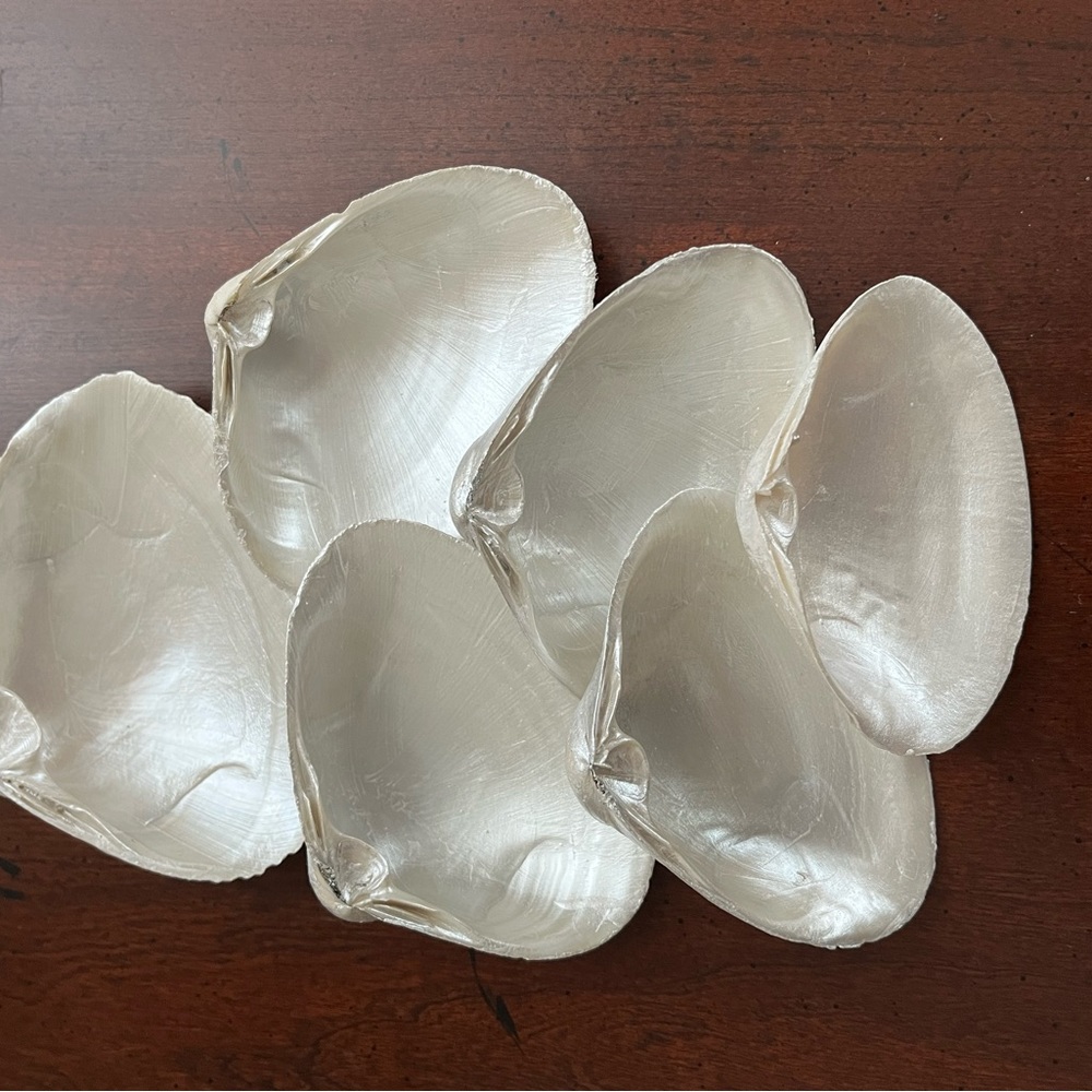 🌻6-Pearl painted shells - Picture 8 of 14
